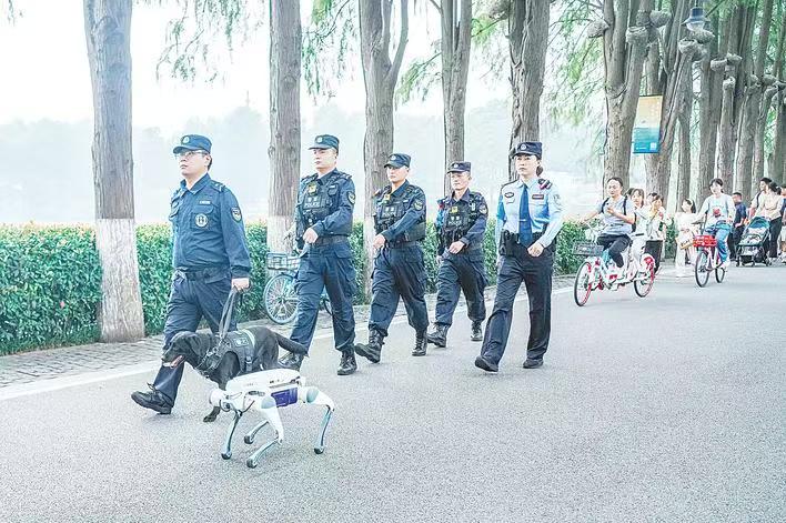 多次助力破获涉毒案件 获授全国功勋犬称号警犬“启生”是团宠更是缉毒能手 